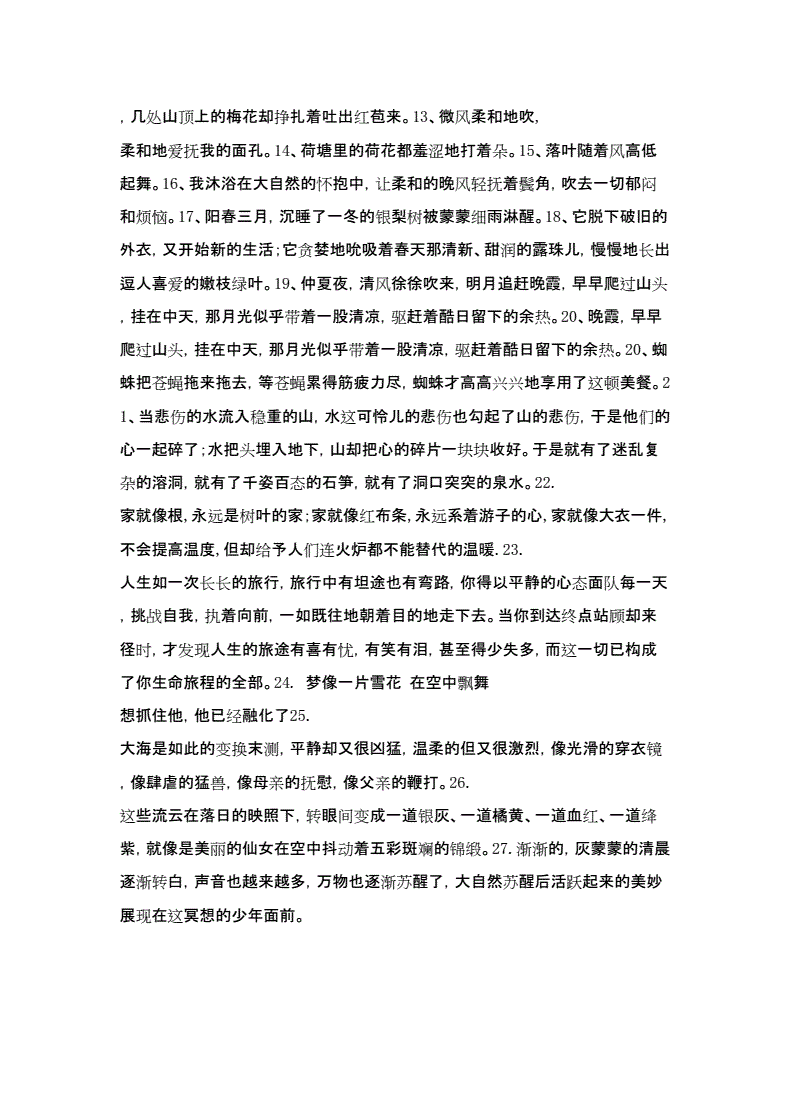 历险记名言(洛洛历险记名言)